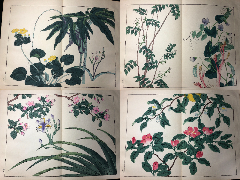 新品即決 比比昂 Bibian - 酒井抱 2□四季の花□春2/28図 2563彩色木版画 和書