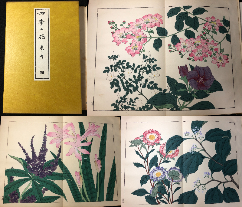 2565彩色木版画 4■四季の花■夏4/22図 酒井抱一ほか 芸艸堂 木版 版画 草花 画譜 図譜 絵入 絵本 和本浮世絵ukiyoe古書古文書骨董古美術
