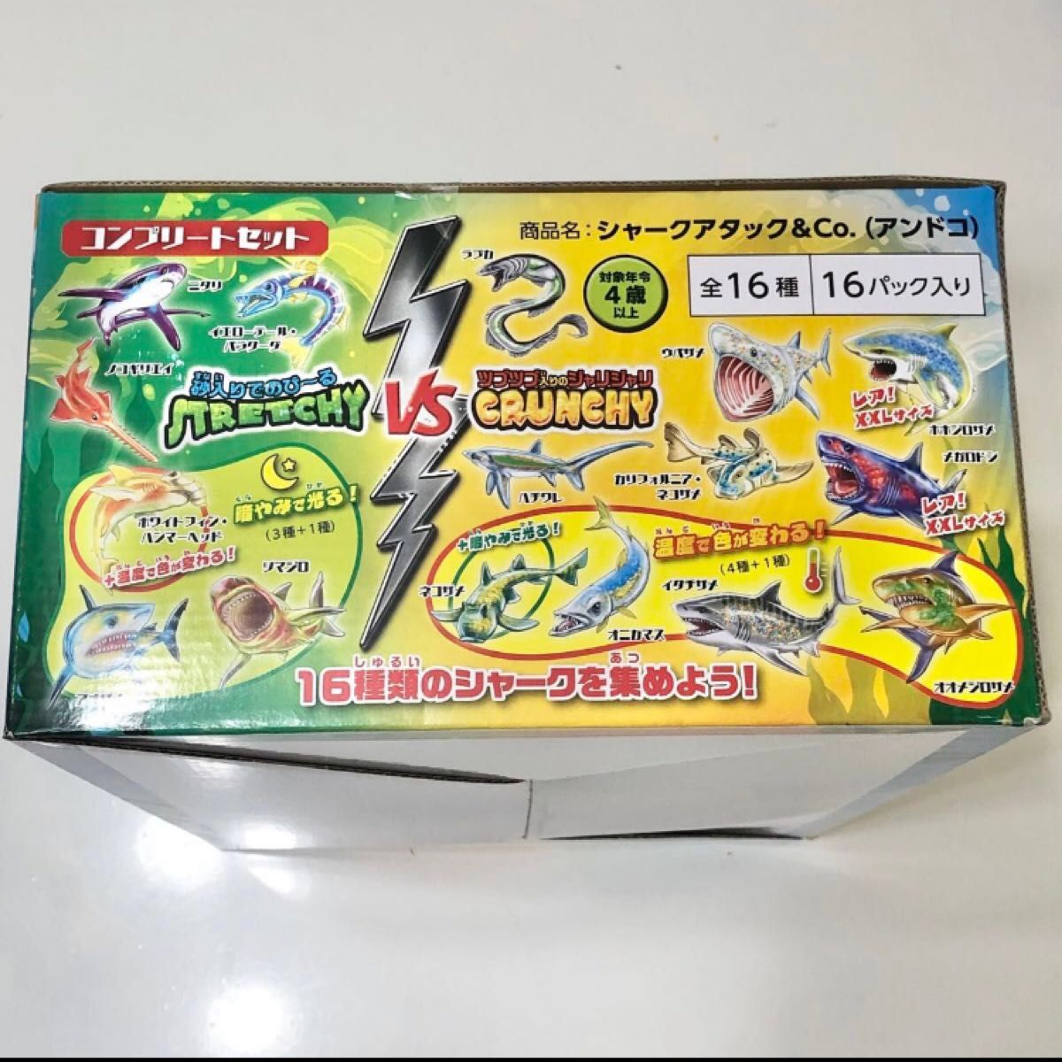 シャークアタック&CO シャークアタック アンドコー シャークアタック&CO シャークアタック アンドコー