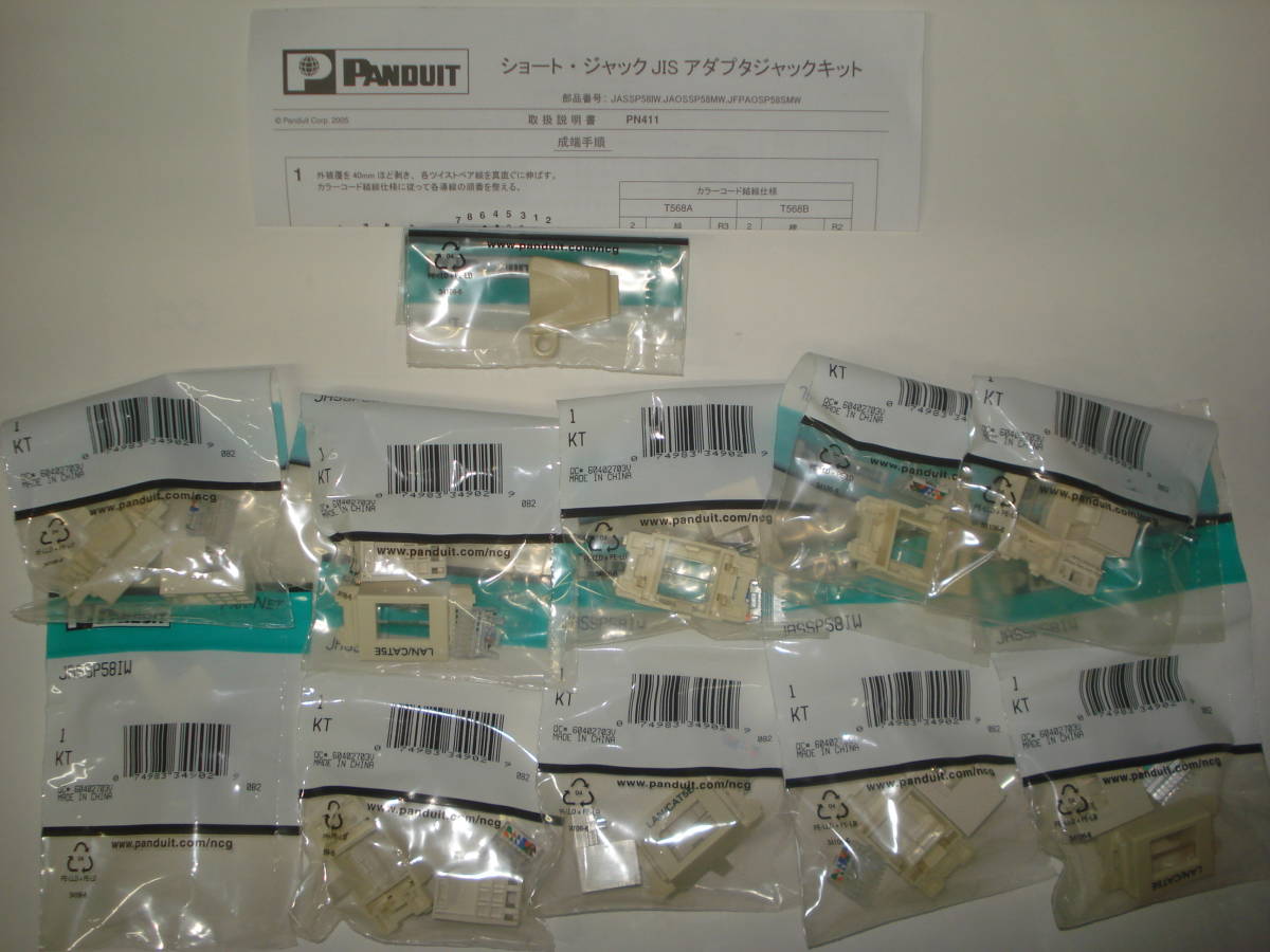 ★PANDUIT★JASSP58IW CAT5E　JISプレートキット10個セット●新品② _画像1