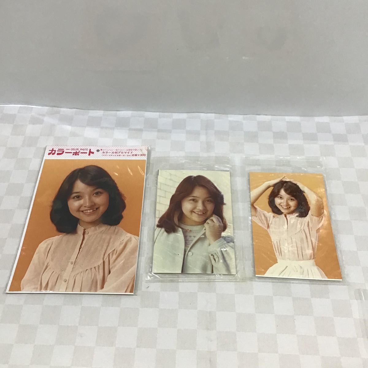 ※【同梱可】女優　石川ひとみ　1959年　昭和アイドル　歌手　　昭和レトロ_画像7