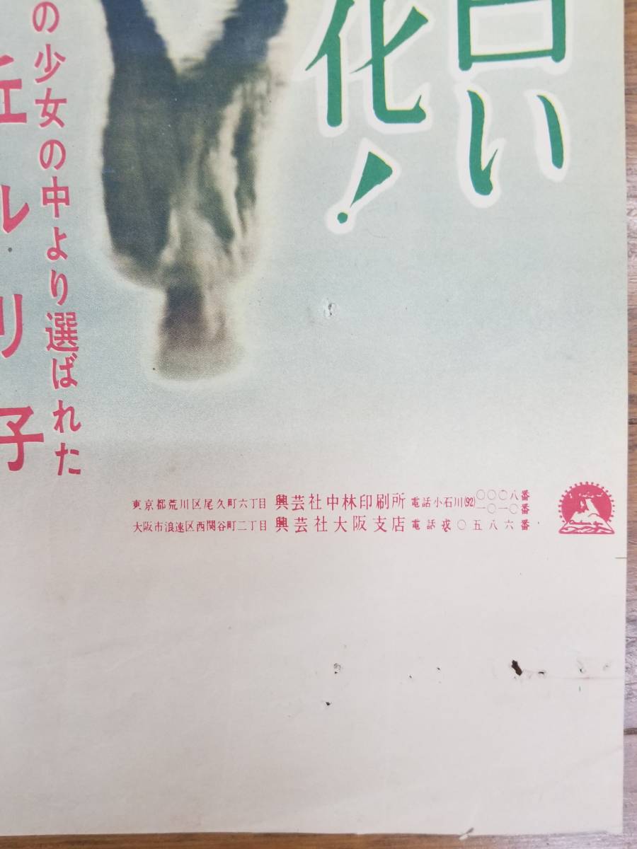 ★映画ポスター★ 「緑はるかに」　井上梅次監督 浅丘ルリ子 フランキー堺 北原三枝_画像5