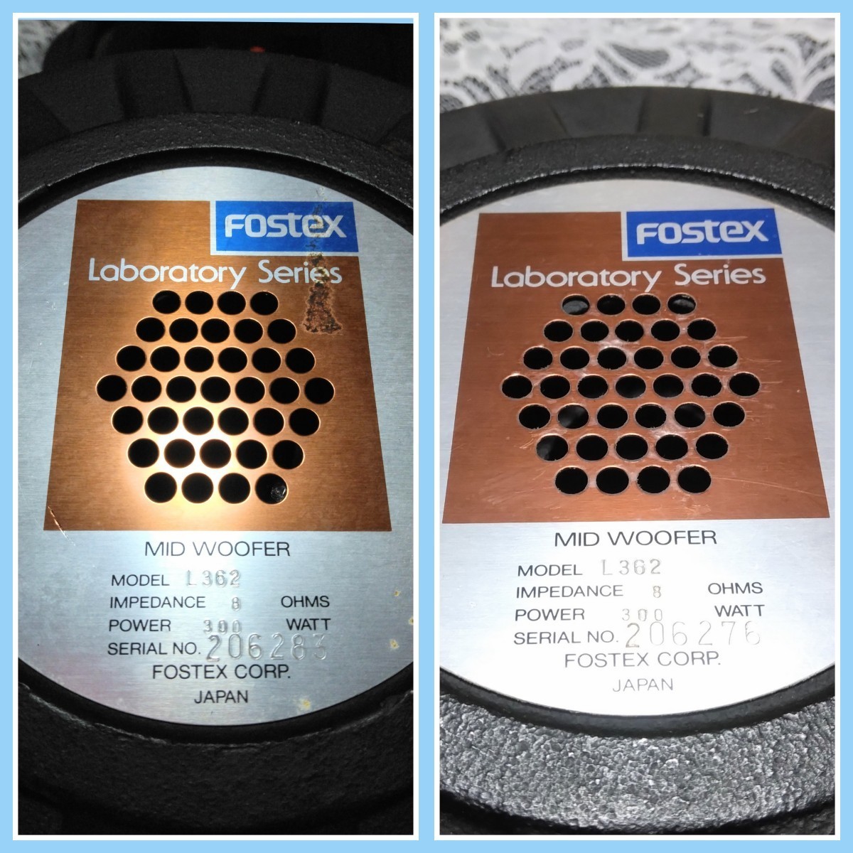 FOSTEXlabolato Lee series 30cm full range speaker L362