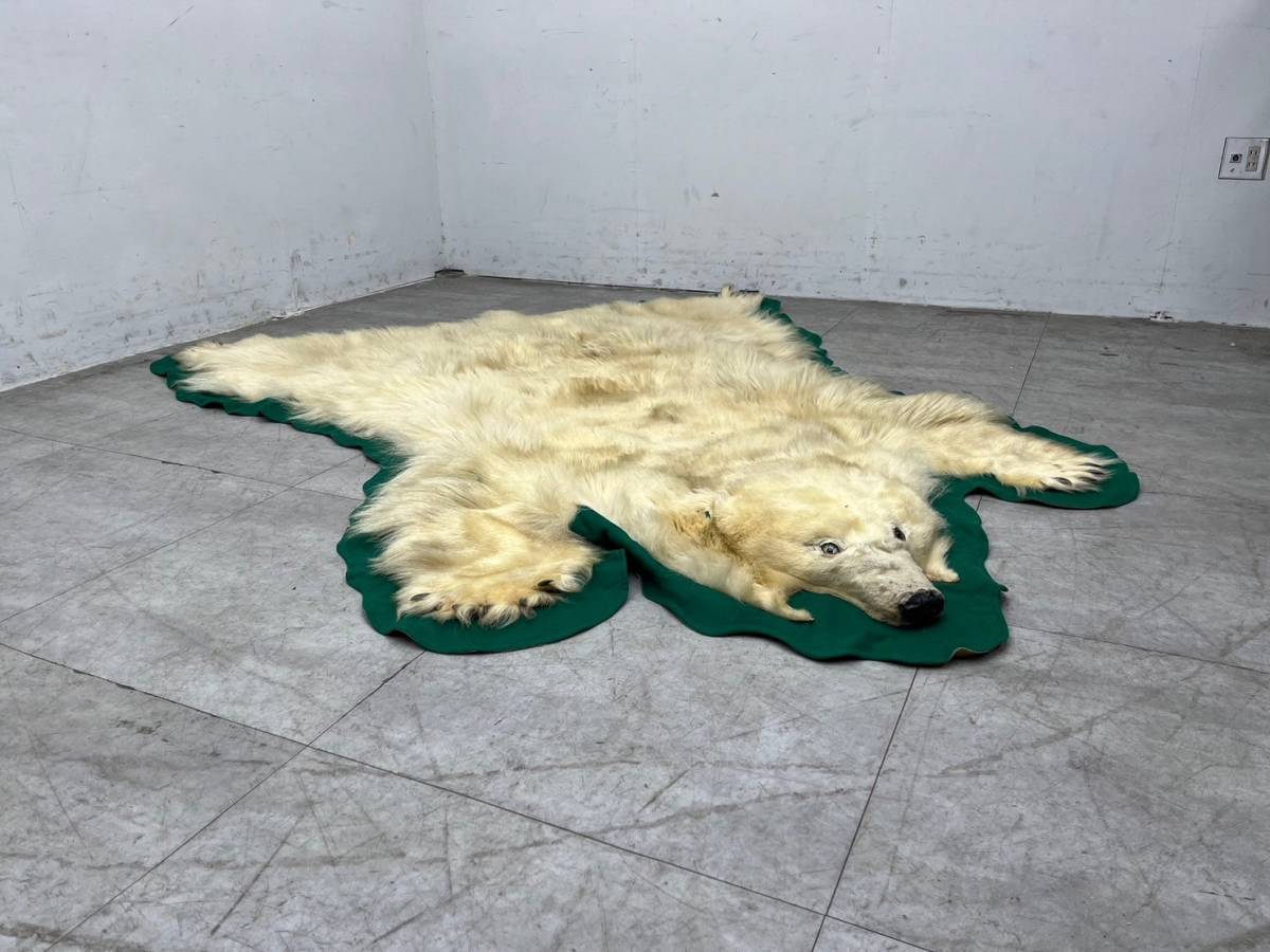 T4533☆極上の逸品☆白くま☆シロクマ☆敷物☆ラグ☆絨毯☆剥製 T4533☆極上の逸品☆白くま☆シロクマ☆敷物☆ラグ☆絨毯☆剥製