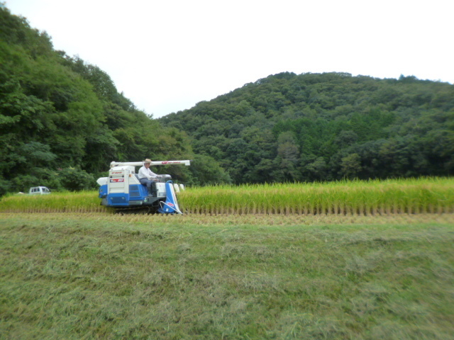 Органическое удобрение и низкое выращивание пестицидов коричневое рис пища из префектуры Окамы, 5 лет от префектуры Окамы