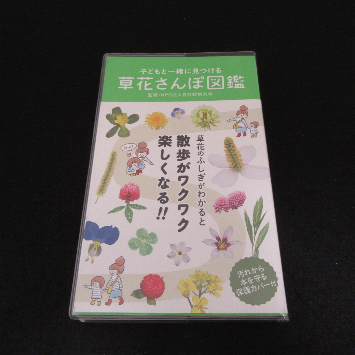 美品★本 『子どもと一緒に見つける　草花さんぽ図鑑』 ■送120円 自然観察大学 （監修）　永岡書店　○_画像1