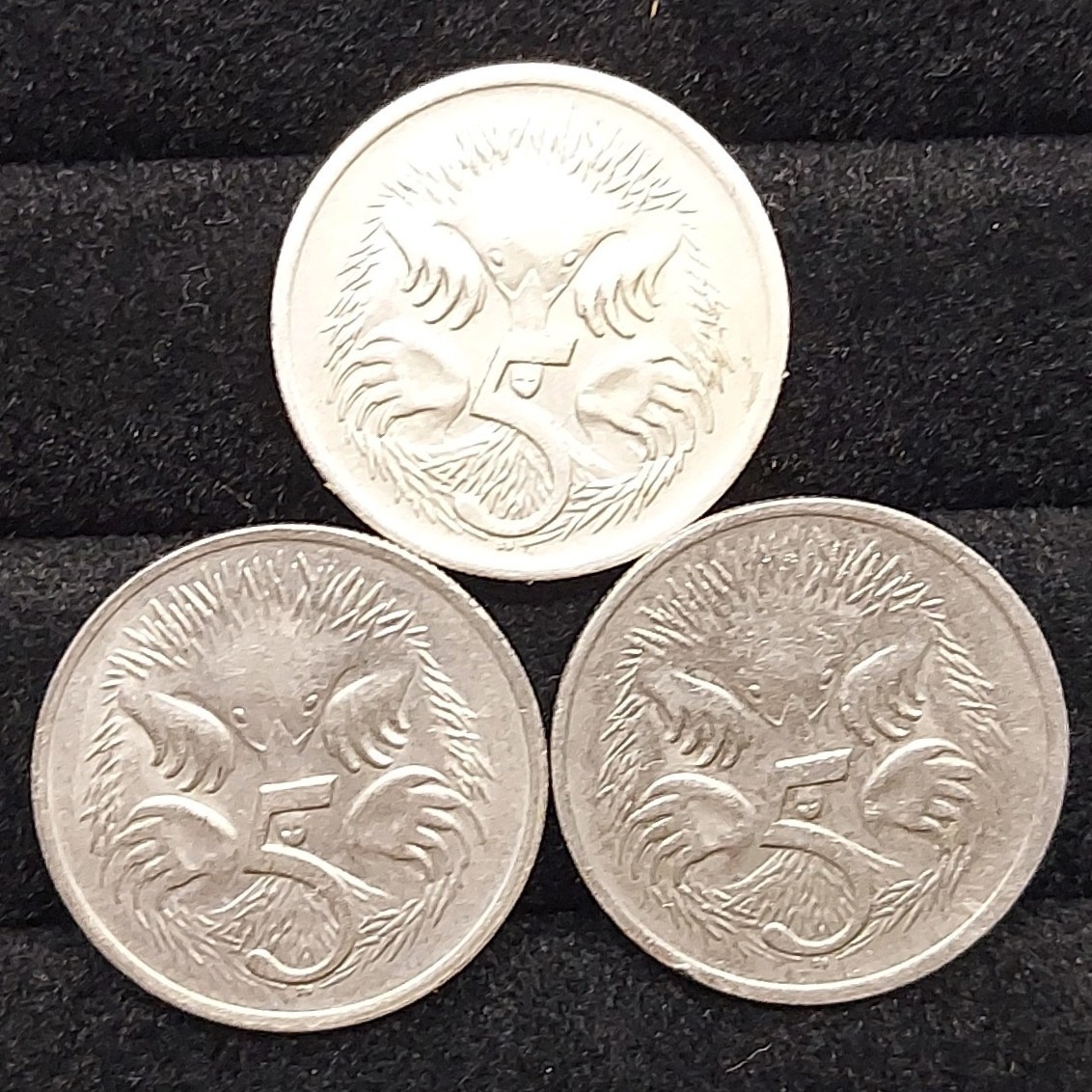【60120】オーストラリア　可愛いハリモグラさんの5セントコイン　おまとめ3点　海外硬貨　コイン　コレクション品_画像2