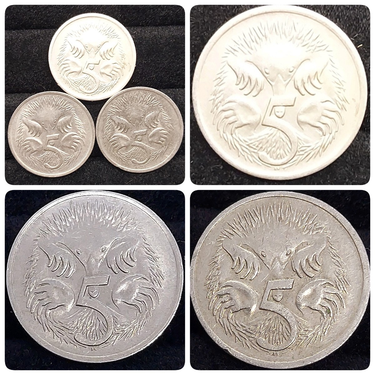 【60120】オーストラリア　可愛いハリモグラさんの5セントコイン　おまとめ3点　海外硬貨　コイン　コレクション品_画像1