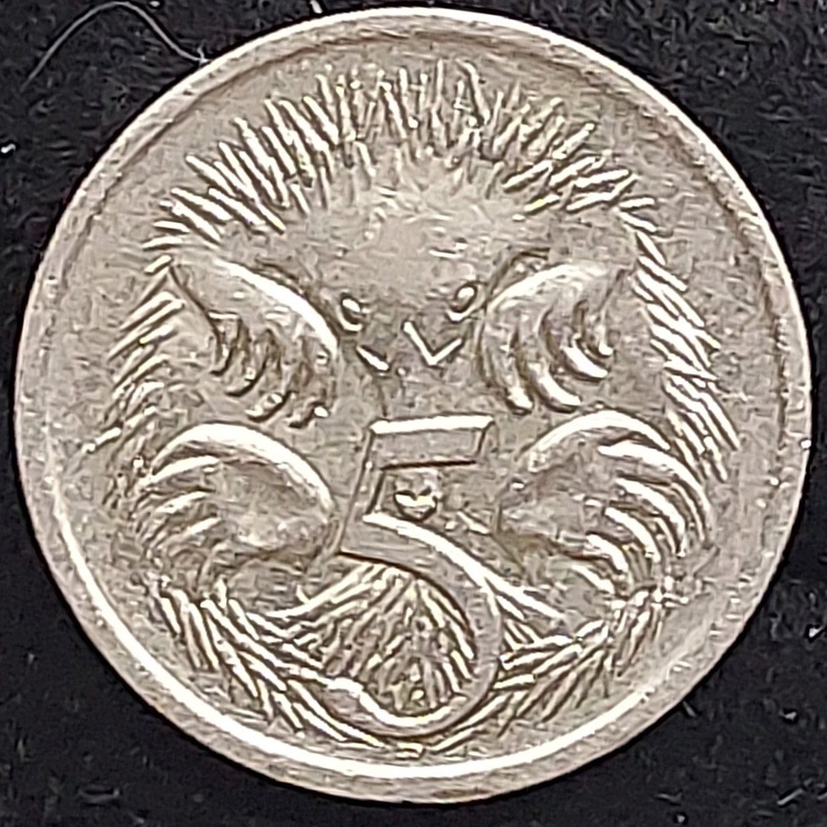 【60120】オーストラリア　ハリモグラ5セント×2　カモノハシ20セント×1　海外硬貨　コイン　コレクション品_画像8