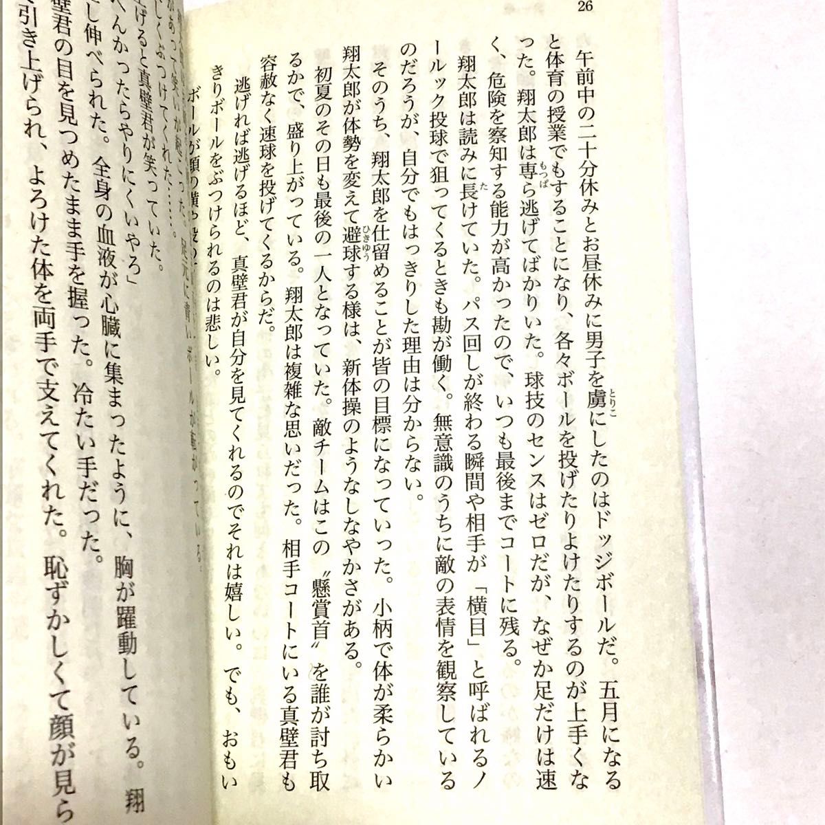 氷の仮面 （講談社文庫　し１０４－６） 塩田武士／〔著〕