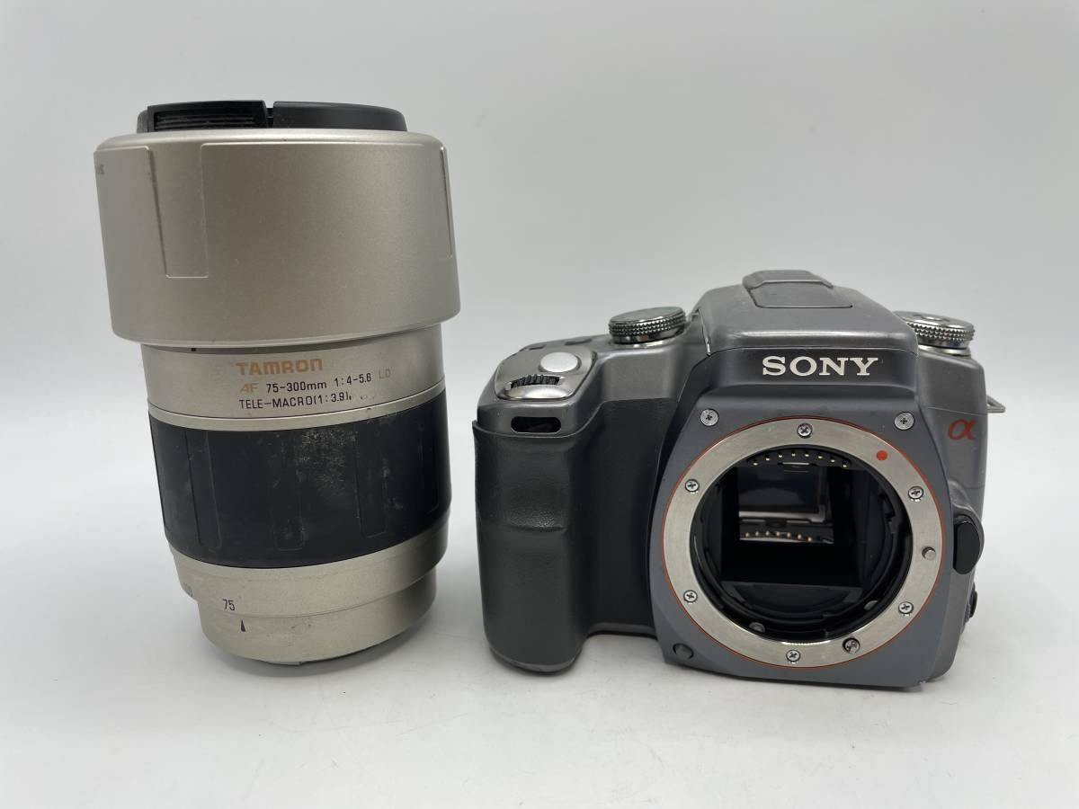 Sony / ソニー N50 / TAMRON AF 75-300mm 1:4-5.6 LD TELE-MACRO(1:3.9)【JS101】_画像1