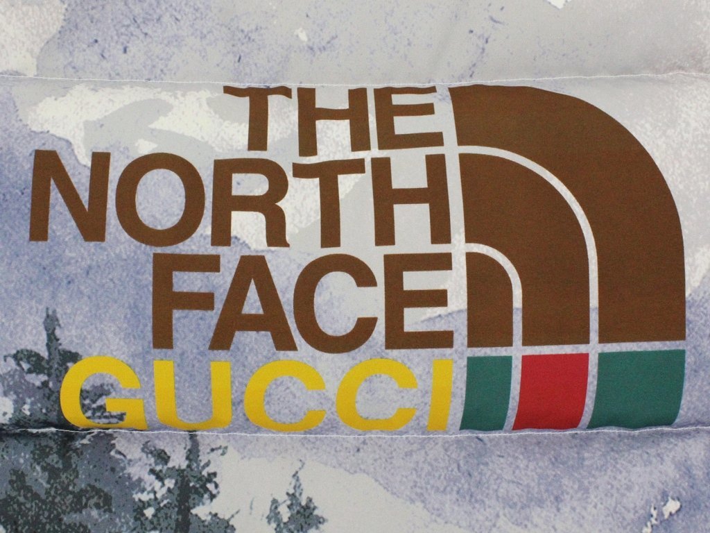 40万新品◆M◆グッチ GUCCI×THE NORTH FACEコラボ 風景ロゴプリントダウンジャケット フード着脱可 1円_画像7