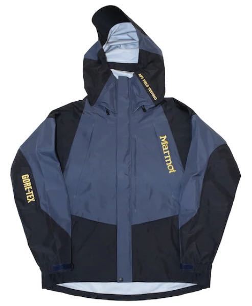 送料無料 XL 新品 STABRIDGE Marmot GORE-TEX 3L ALPINIST JACKET Gold Embroidery the apartment アパートメント スタブリッジ マーモット_画像2