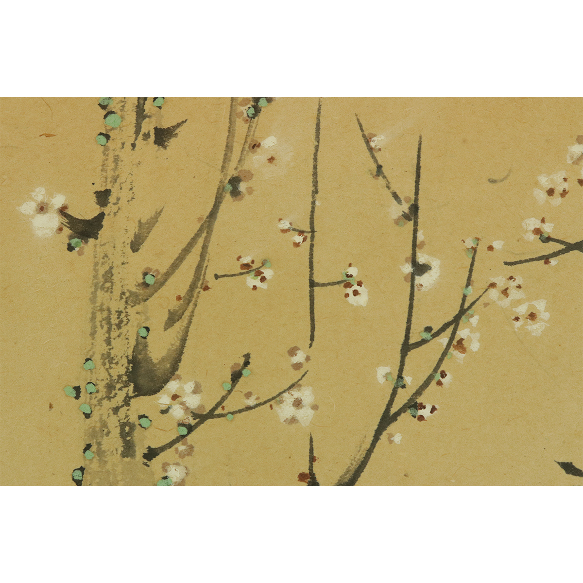 [ genuine work ] forest ...[ white plum . beautiful person map ]* paper book@*. box * hanging scroll t06035