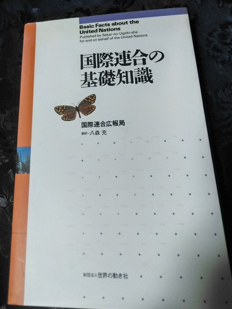 国際連合の基礎知識_画像1