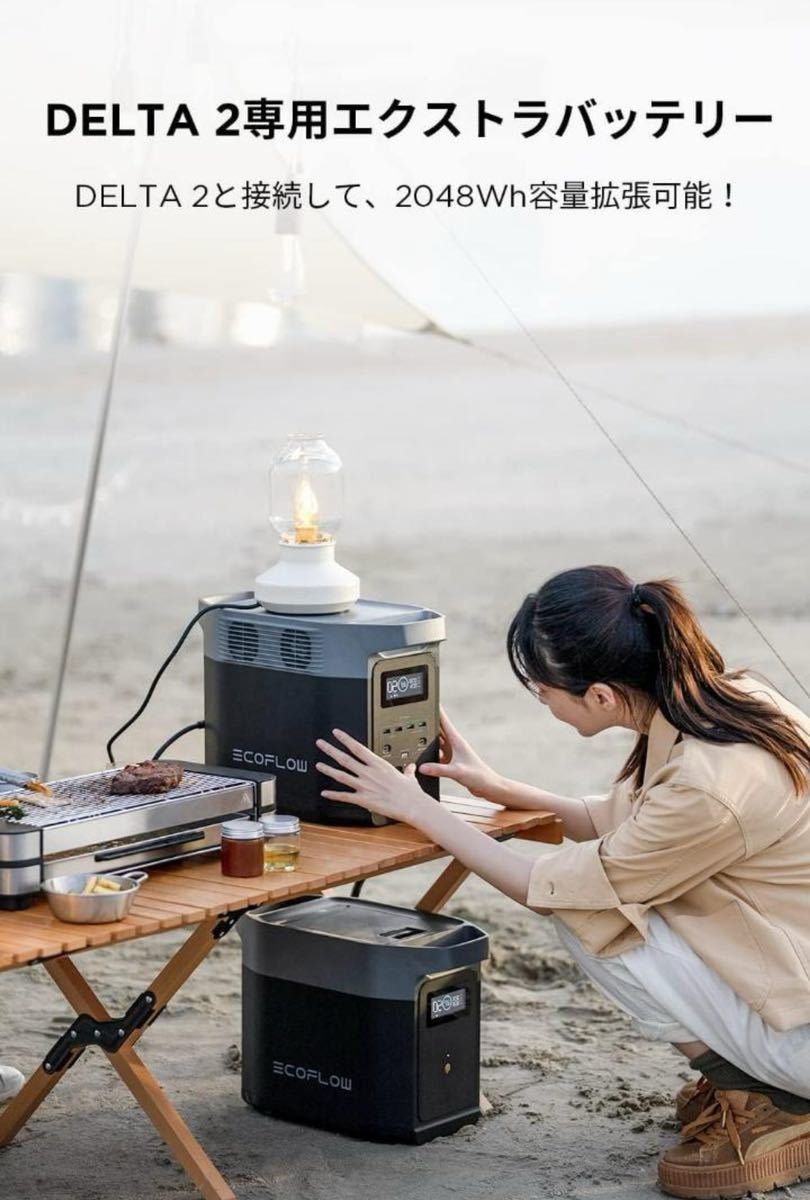 EcoFlow DELTA 2専用エクストラバッテリー1024Wh_画像4