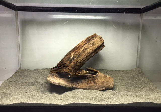 S8[ prompt decision ] natural fresh water driftwood .. disinfection .. natural collection natural driftwood aquarium aquarium terrarium reptiles insect perch objet d'art 