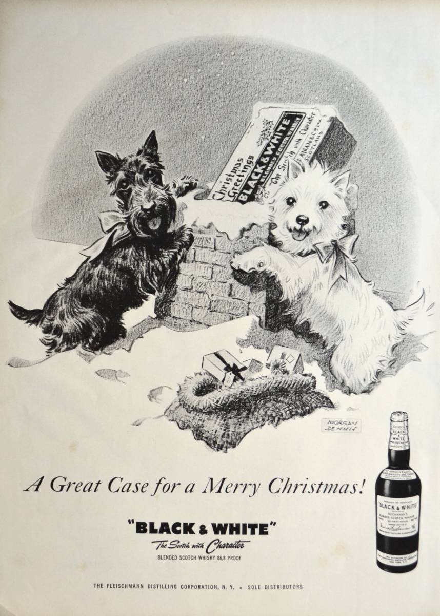 稀少！1958年Black & White広告/ウィスキー/酒/スコッチテリア/犬/Dog/Morgan Dennis/イラスト/5_画像1