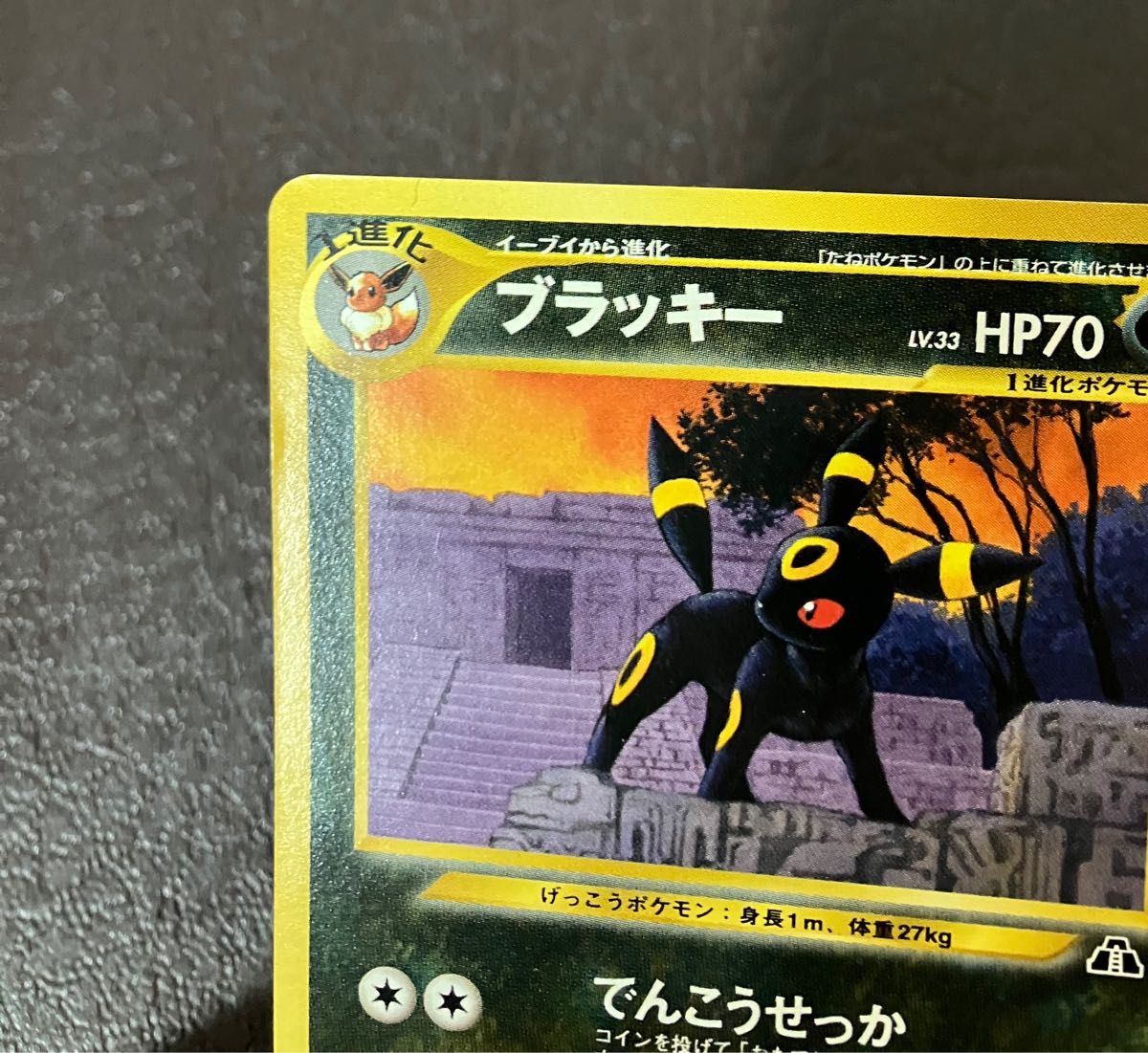 ポケモンカード 旧裏 ブラッキー LV33 でんこうせっか|Yahoo ポケモンカード 旧裏 ブラッキー LV33 でんこうせっか|Yahoo