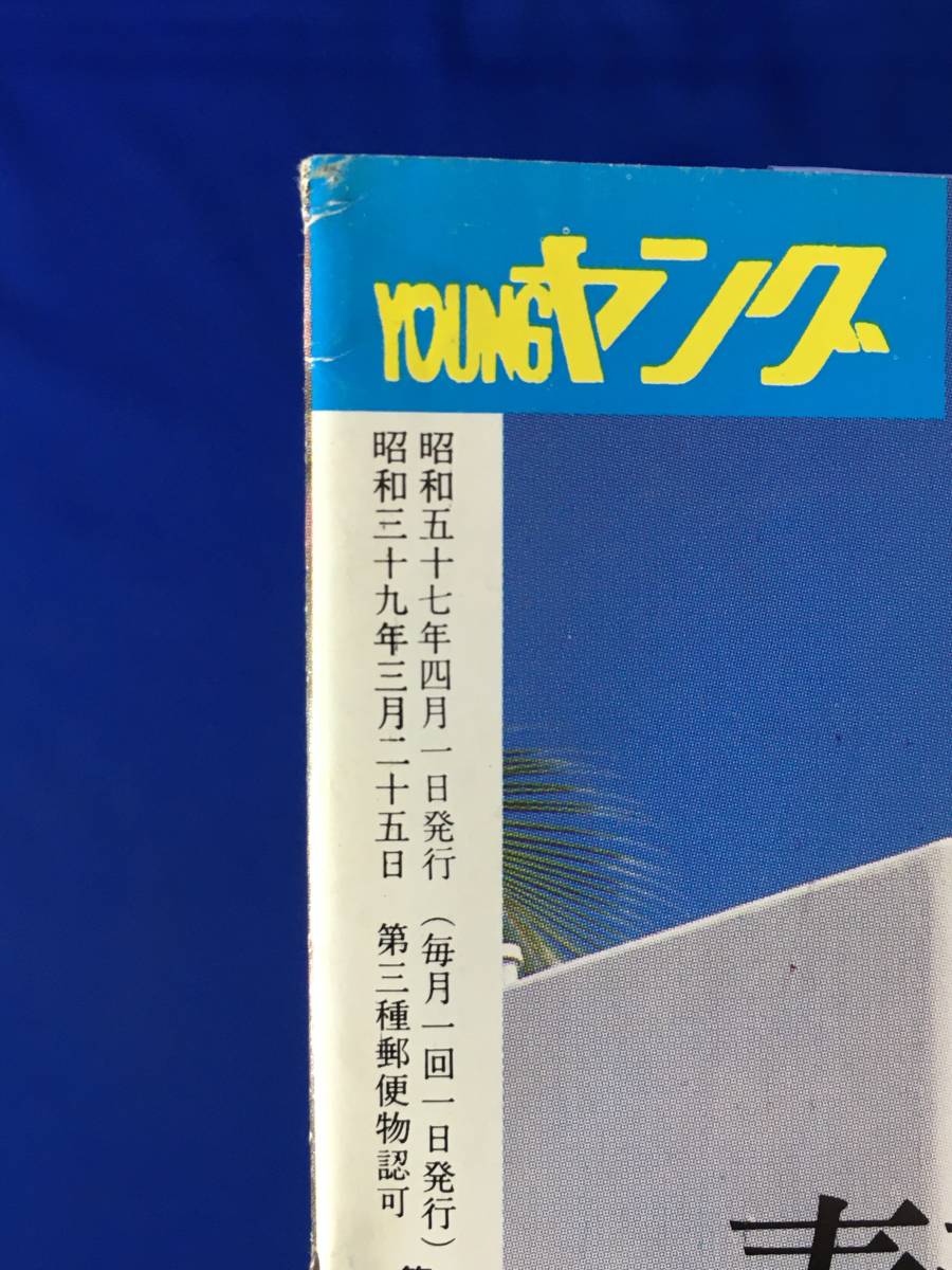 A432イ●YOUNG ヤング 1982年4月 渡辺プロダクションタレント友の会 会報 ヒップアップ/ザ・タイガース/沢田研二/沢田富美子/水野きみこ_画像2