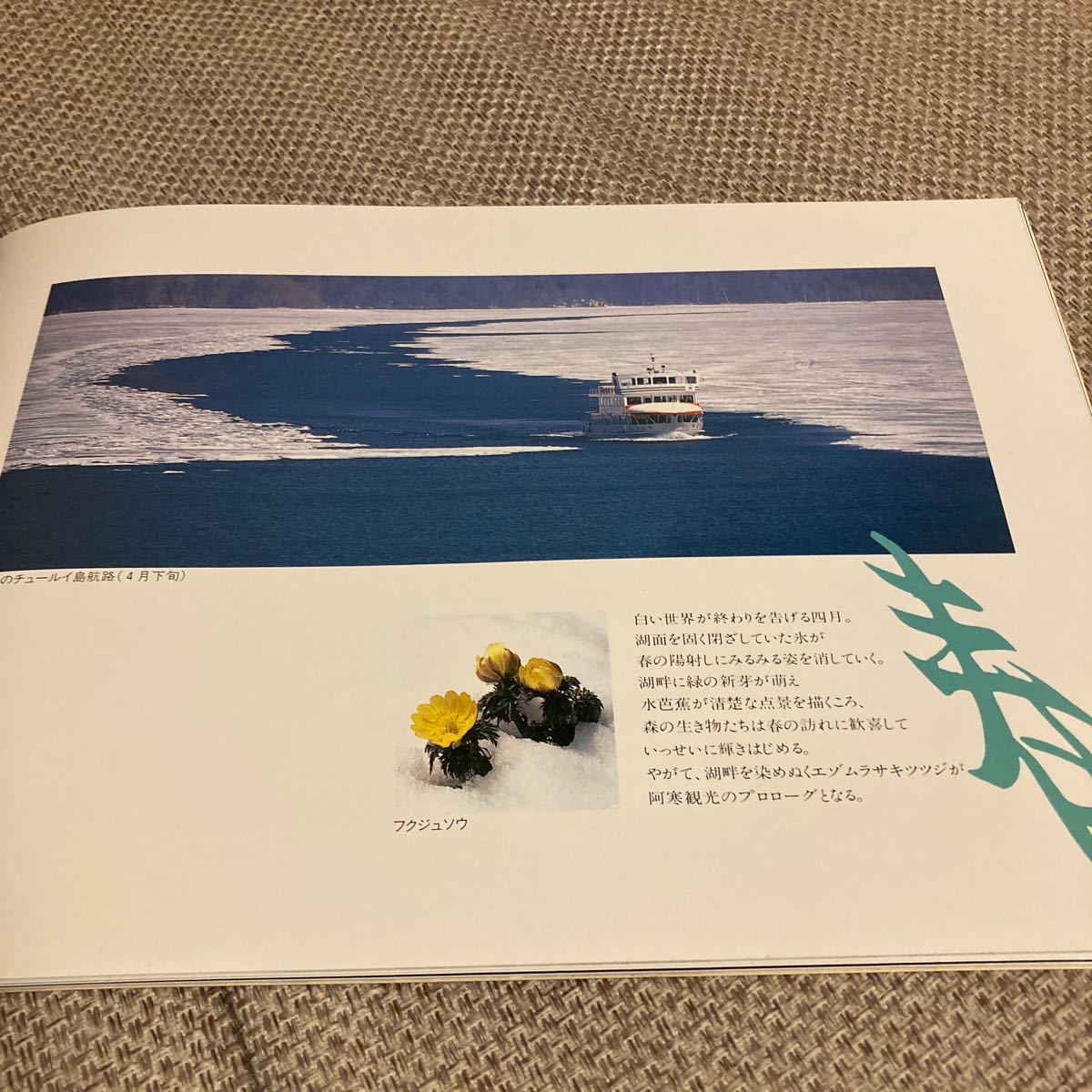 非売品　昭和レトロ　北海道阿寒汽船監修　まりもの阿寒湖です。オールカラーの冊子で、遊覧船の写真が満載_画像2
