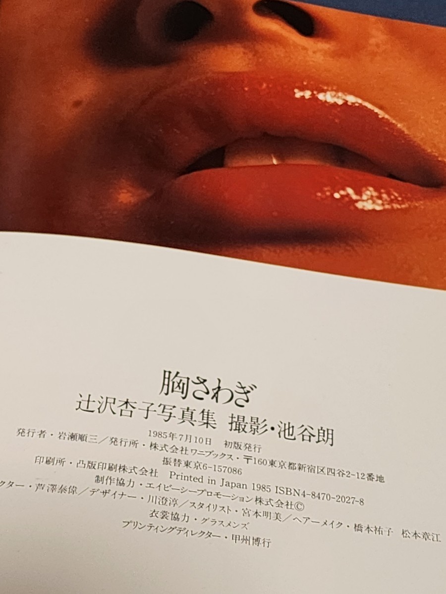 辻沢杏子　SEXY写真集　「胸さわぎ」　1985年初版本_画像8