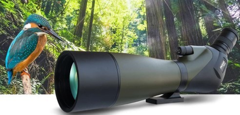  максимальный 900m 80mm диаметр на предмет линзы телескоп 20~60 кратный zoom высота коэффициент увеличения 20-60X80 зрительная труба scope смартфон фотосъемка видеозапись водонепроницаемый штатив птица bird 