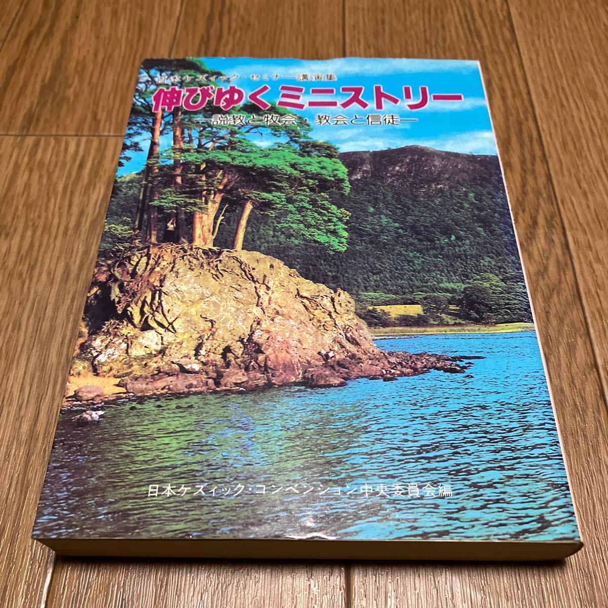 伸びゆくミニストリー-説教と牧会・教会と信徒- 日本ケズィック・コンベンション ニューライフ出版 キリスト教 ホーリネス きよめ派_画像1