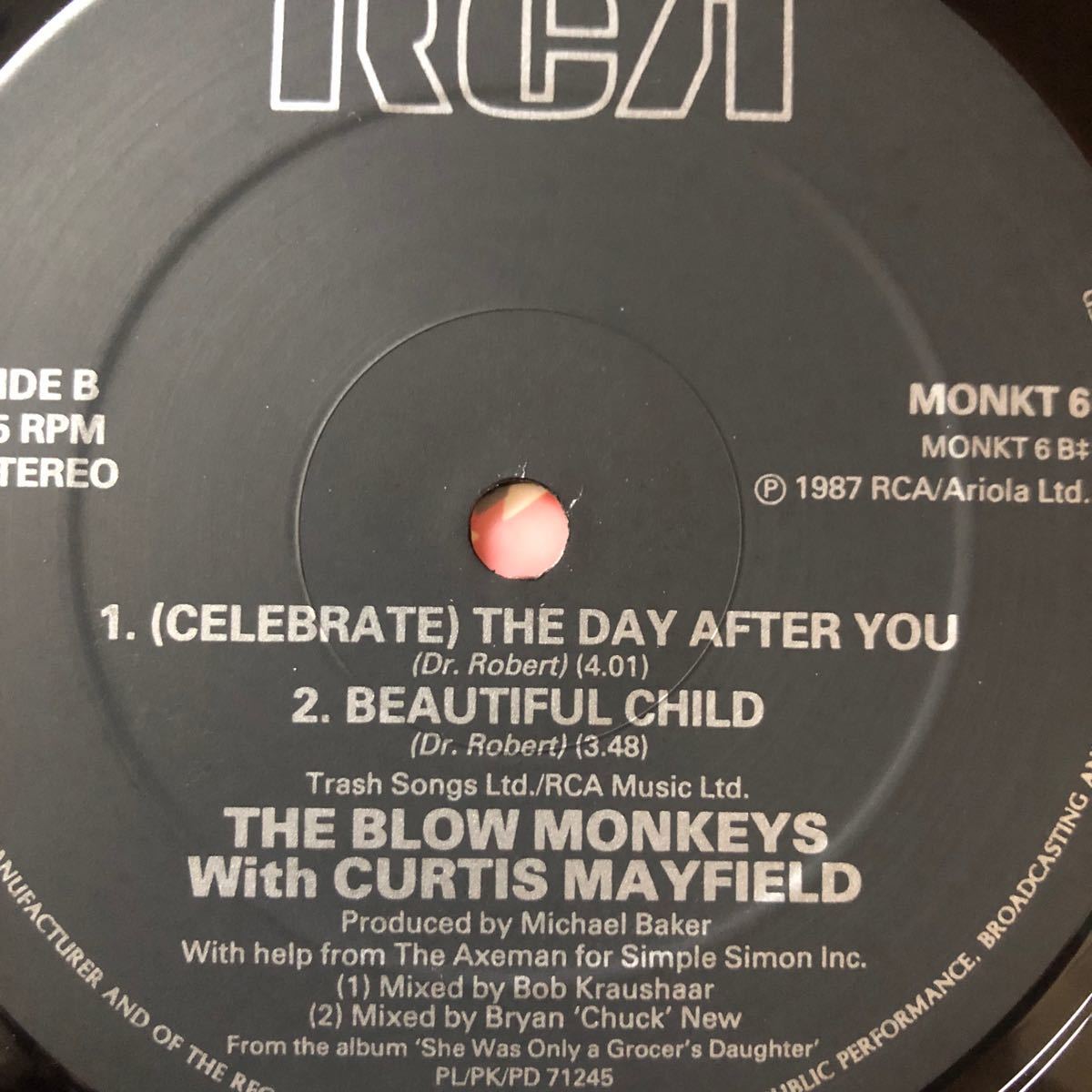 12’ The Blow Monkeys-(Celebrate) The Day After You_画像3