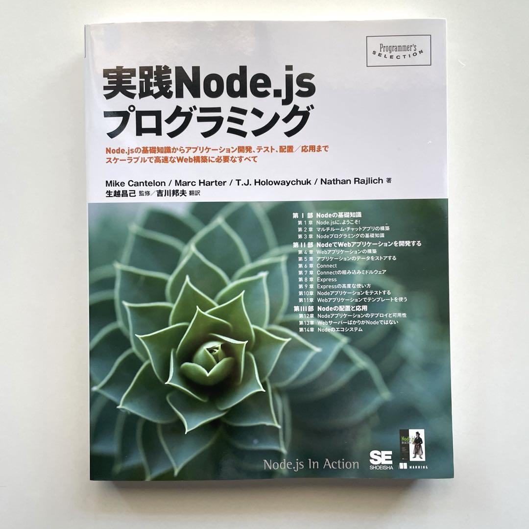 送料無料！◎実践Node.jsプログラミング : Node.jsの基礎知識からアプリケーション開発、テスト、配置/応用まで_画像1