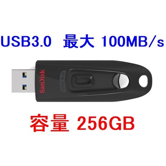 送料無料 SanDisk USBメモリー256GB USB3.0対応 SDCZ48-256G-U46_画像はイメージです