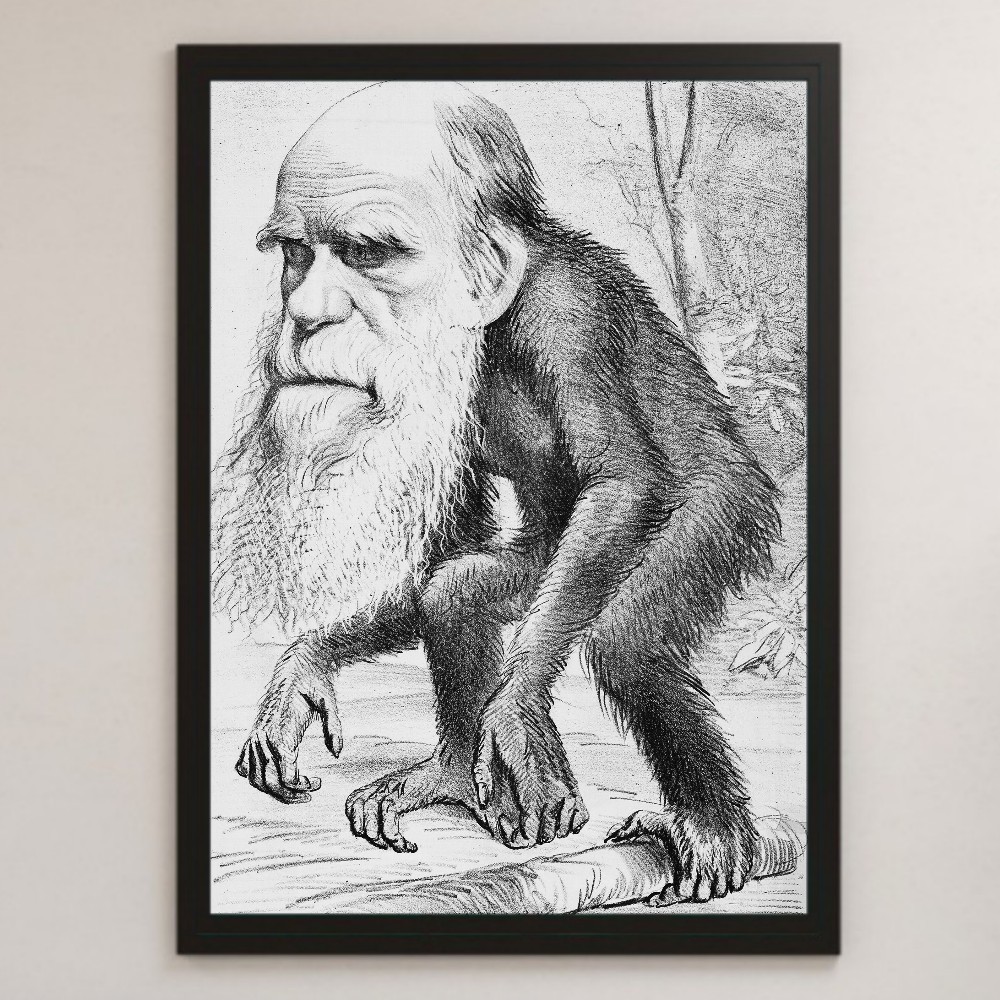 チャールズ・ダーウィン 進化論 風刺画 イラスト アート 光沢 ポスター A3 バー カフェ クラシック インテリア 学問 猿 人間_画像1