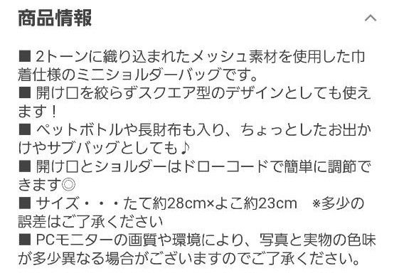 【新品タグ付き】メッシュ　巾着　ショルダーバッグ　サコッシュ