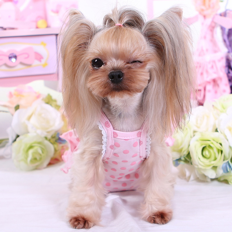 新品 送料　無料　マナーパンツ 犬 通販 女の子 布 ポリエステル 生理 ドッグウェア 犬の服 小型犬 ピンクXL_画像2