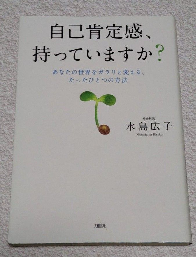 自己肯定感、持っていますか？　あなたの世界をガラリと変える、たったひとつの方法 水島広子／著