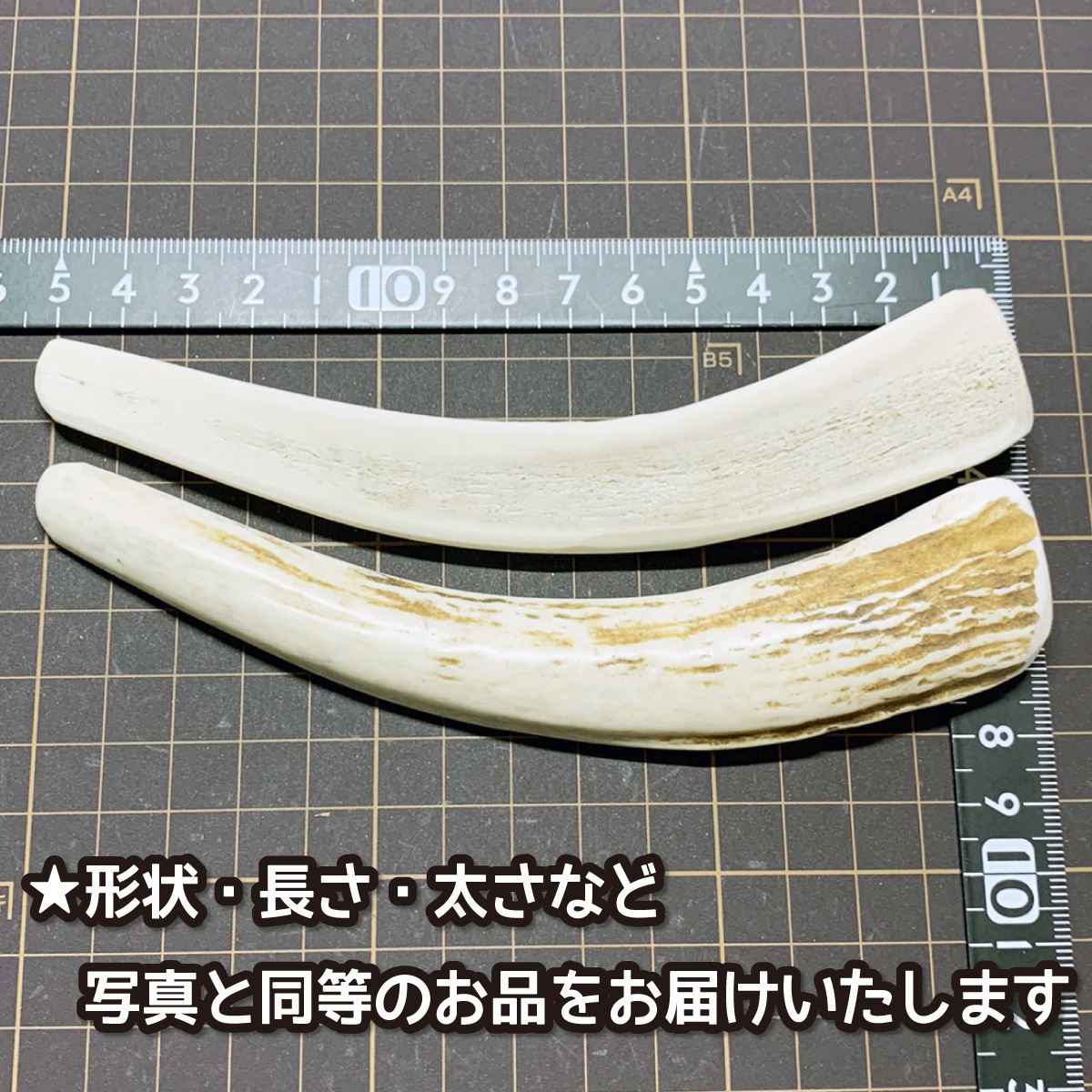 ■ 小型犬用 ■ 半割りロング 2本セット■ 天然 北海道産 蝦夷鹿の角 ■ 犬のおもちゃ ■ 無添加 エゾシカ ツノ 鹿の角 犬 ■ 15221_画像2