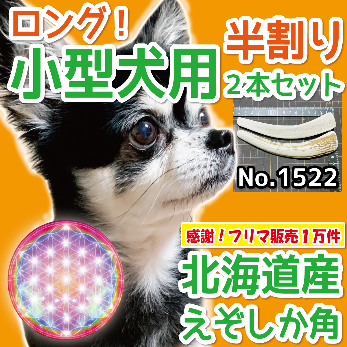 ■ 小型犬用 ■ 半割りロング 2本セット■ 天然 北海道産 蝦夷鹿の角 ■ 犬のおもちゃ ■ 無添加 エゾシカ ツノ 鹿の角 犬 ■ 15221_画像1