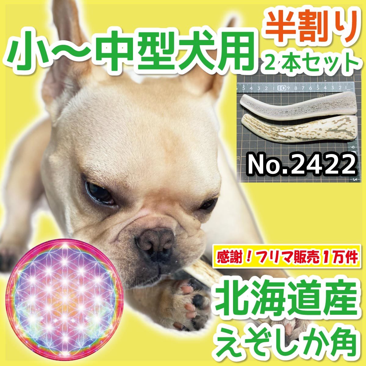 ■ 小～中型犬用 ■ 天然 北海道産 蝦夷鹿の角 ■ 半割り 2本セット ■ 犬のおもちゃ ■ 無添加 エゾシカ ツノ 鹿の角 犬 ■ 24221_画像1