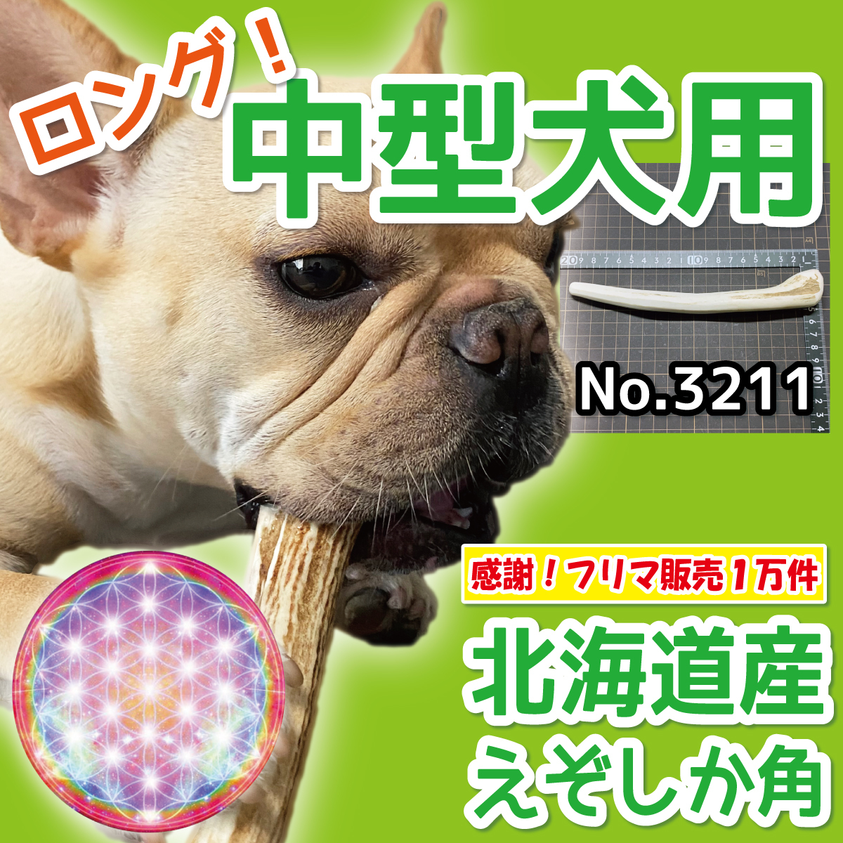 ■ 中型犬用 ■ ロングタイプ1本 ■ 天然 北海道産 蝦夷鹿の角 ■ 犬のおもちゃ ■ 無添加 エゾシカ ツノ 鹿の角 犬 32112_画像1