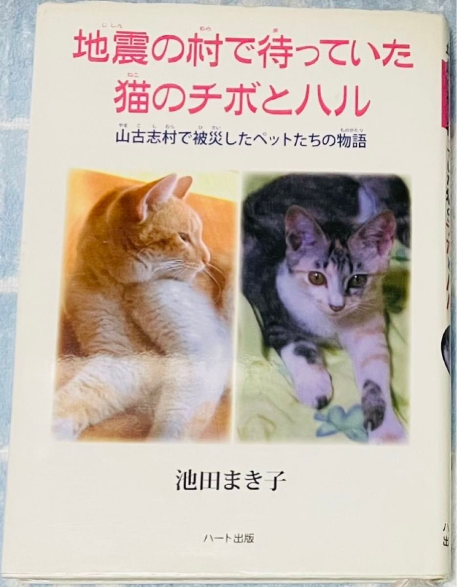 【値下げ中】地震の村で待っていた猫のチボとハル 山古志村で被災したペットたちの物語　本