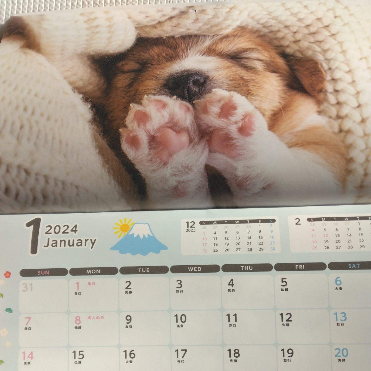 2024年　壁掛け　カレンダー　ベビーアニマルズ　猫　犬　うさぎ　パンダ　ワンちゃん　ネコちゃん_画像3