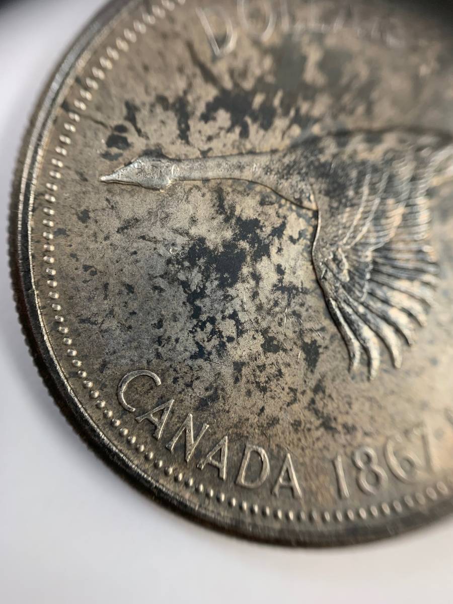 （32769）カナダ　1ドル銀貨　1867-1967　約23.2g　コレクション_画像3