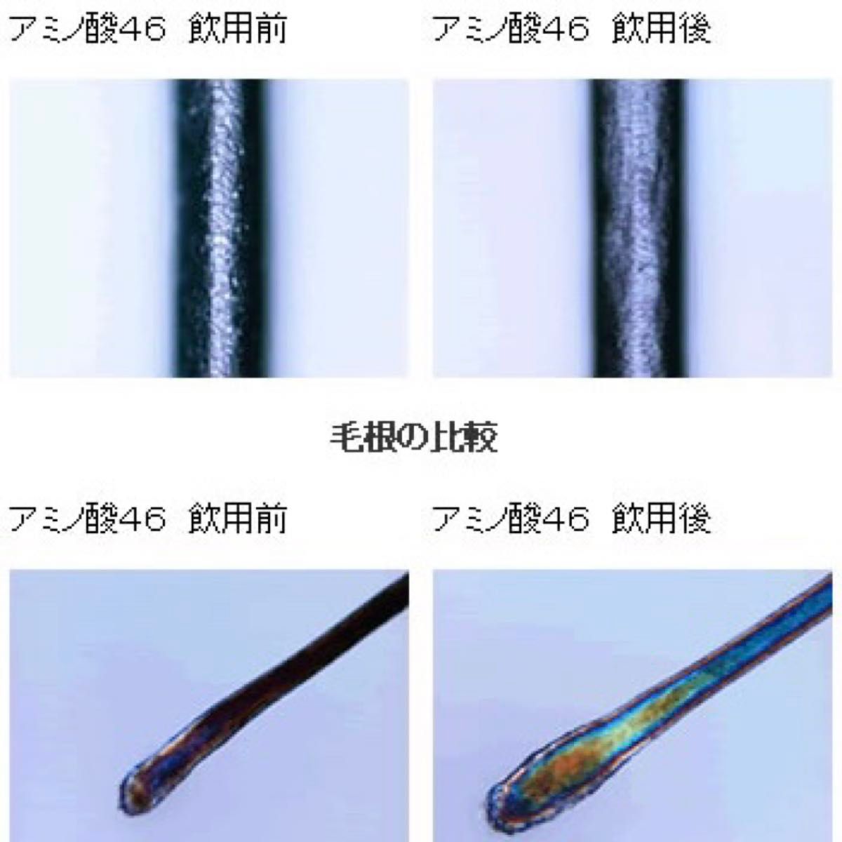 アミノ酸46 1箱 60包 ベルクール研究所