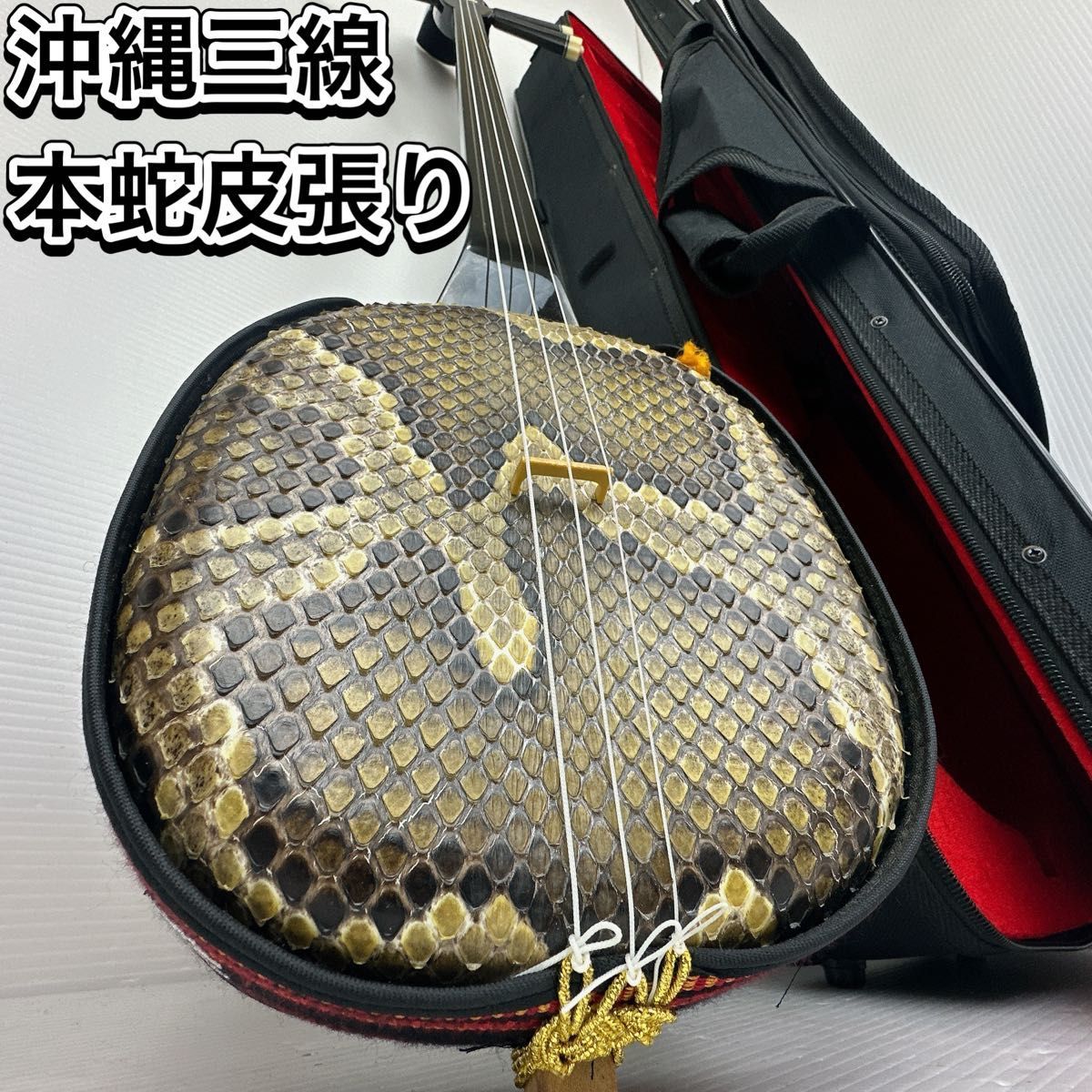 美品沖縄三線本蛇皮一枚張り琉球三味線ケースウマ入門書和楽器弦楽器