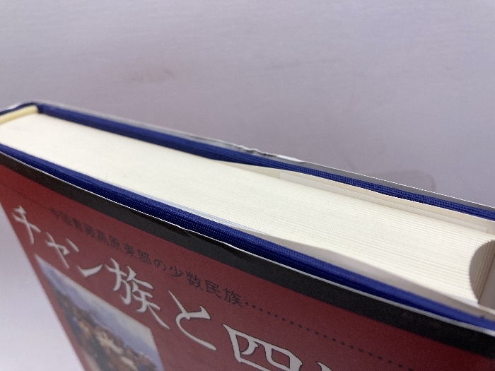 チャン族と四川チベット族―中国青蔵高原東部の少数民族 ゆまに書房 松岡 正子_画像3