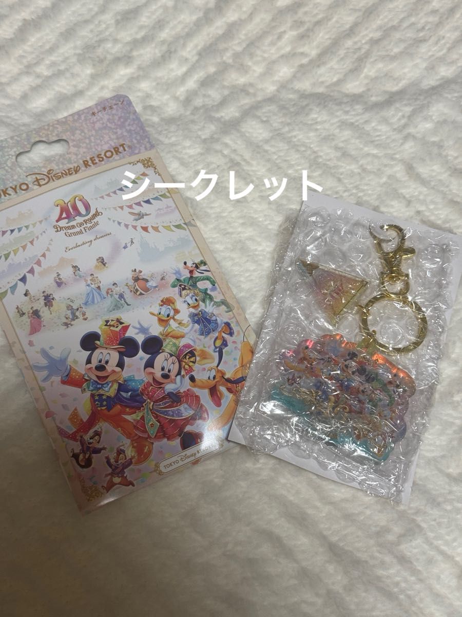 ディズニー 40周年 グランドフィナーレ ランダムキーチェーン ディズニー 40周年 グランドフィナーレ ランダムキーチェーン