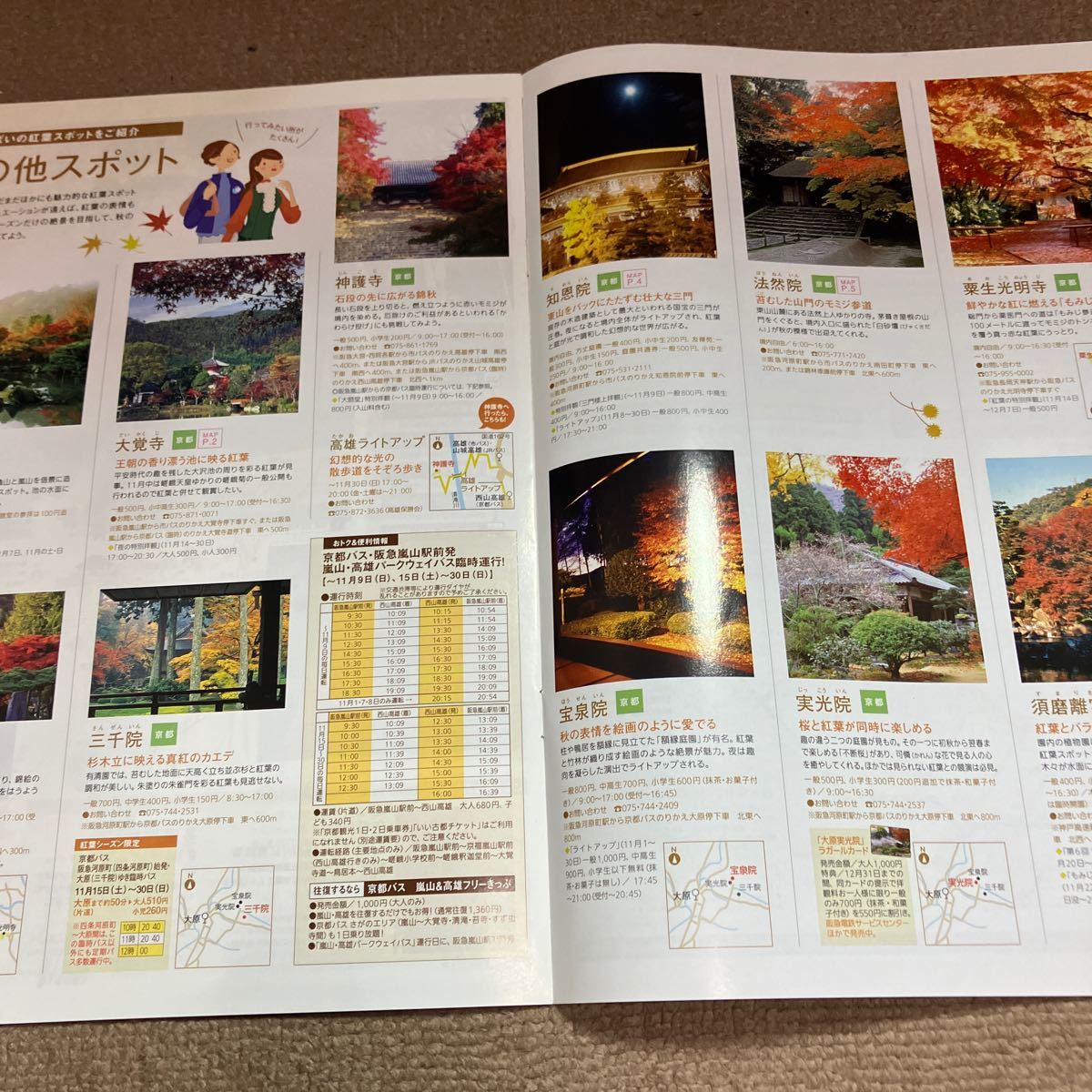 阪急電車で行く紅葉ガイド　2008秋　カタログパンフレット_画像4