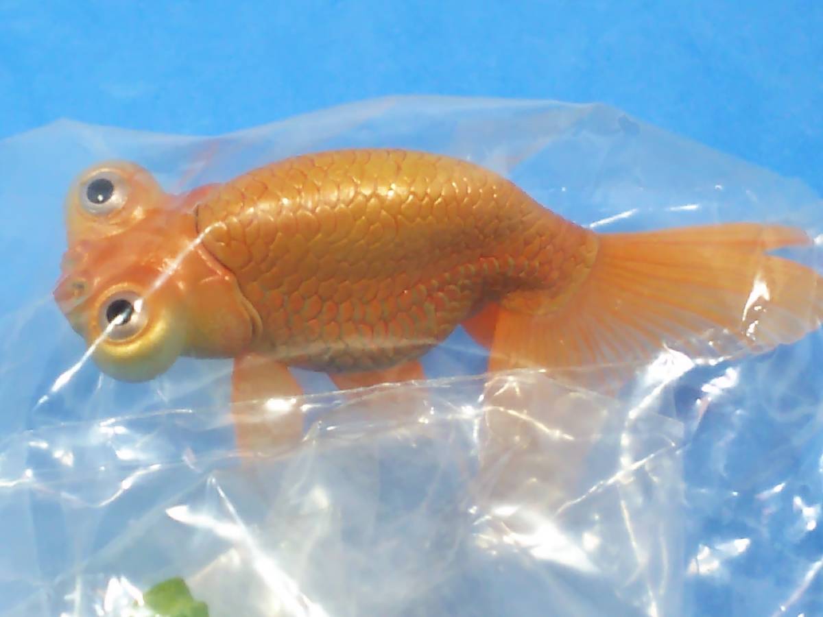 *金魚 チョウテンガン（オレンジ単色）原色観賞魚図鑑 未開封 YUJIN ユージン 送料230円 同梱歓迎 追跡有 匿名配送_画像1