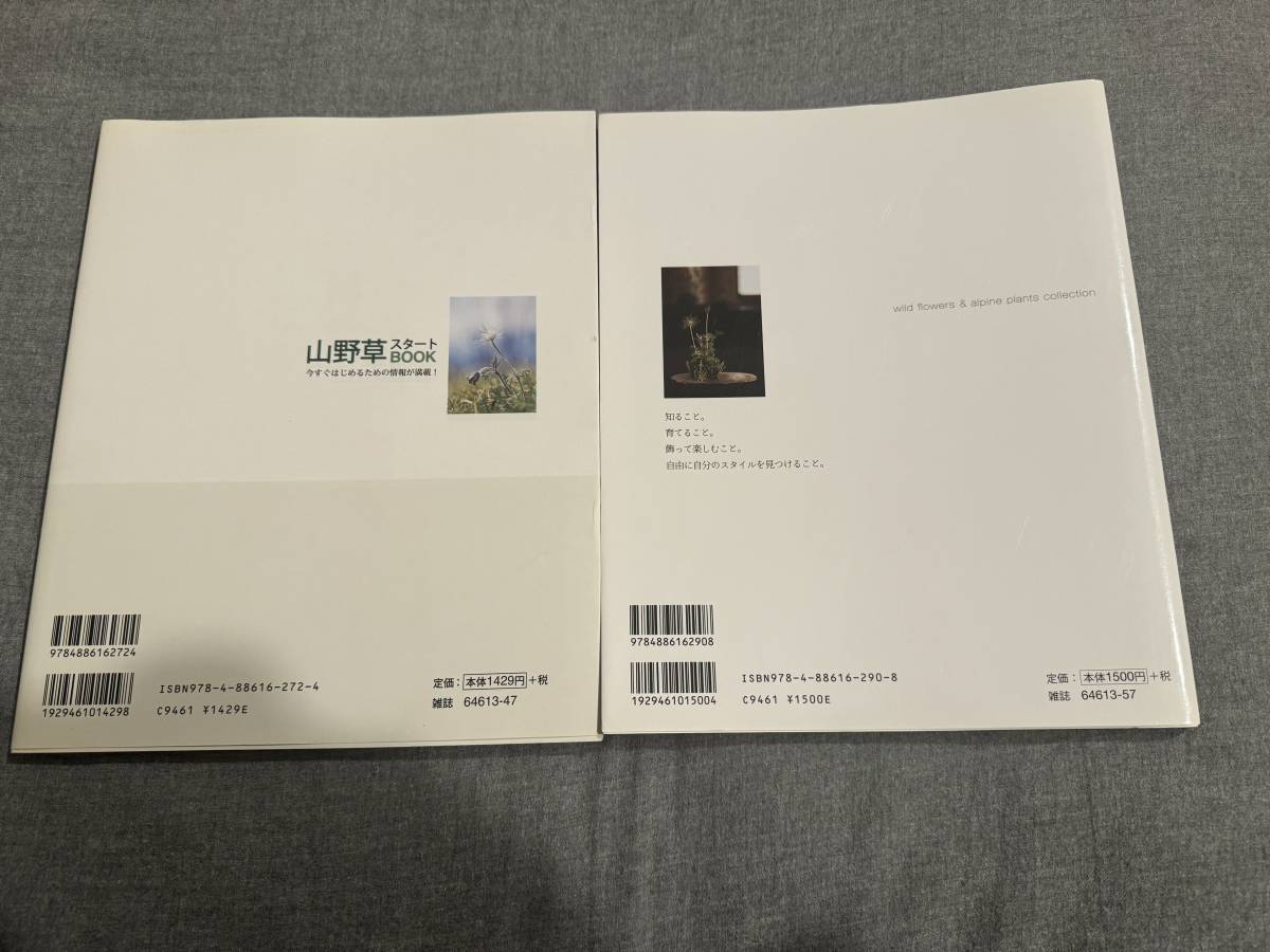 ２冊セット 山野草スタートBOOK & 小さな自然を育もう これから始める山野草の画像2