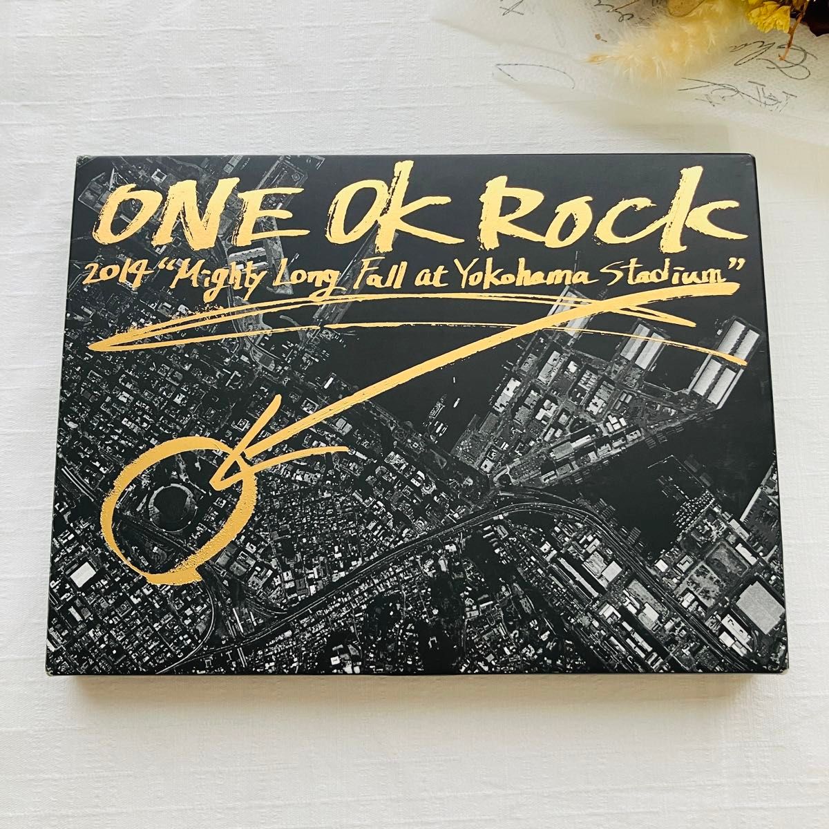 ONE OK ROCK 2014 Mighty Long Fall at Yokohama Stadium DVD 初回限定プレス